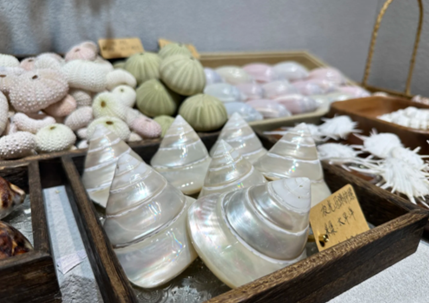 材料包-豪华版