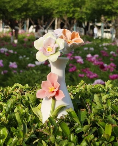 玉兰花款