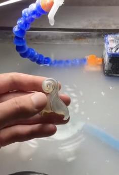 海洋主题贝雕作品