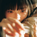 贝壳爱好者